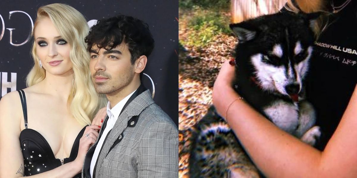 Sophie Turner and Joe Jonas Pet Died
