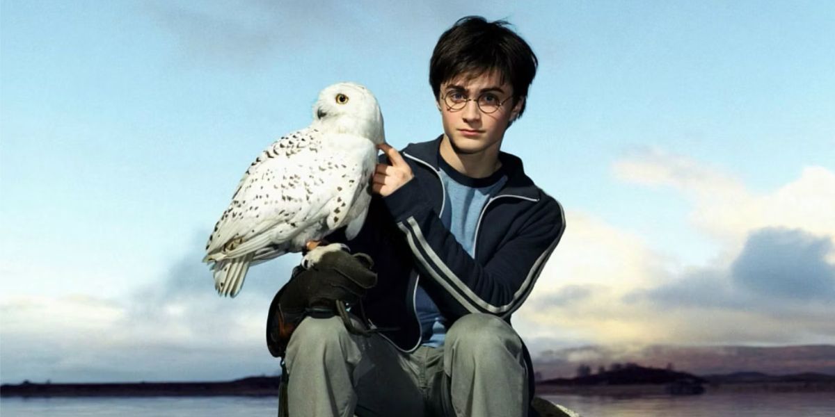 Hedwig's Character Was Played By 7 Owls