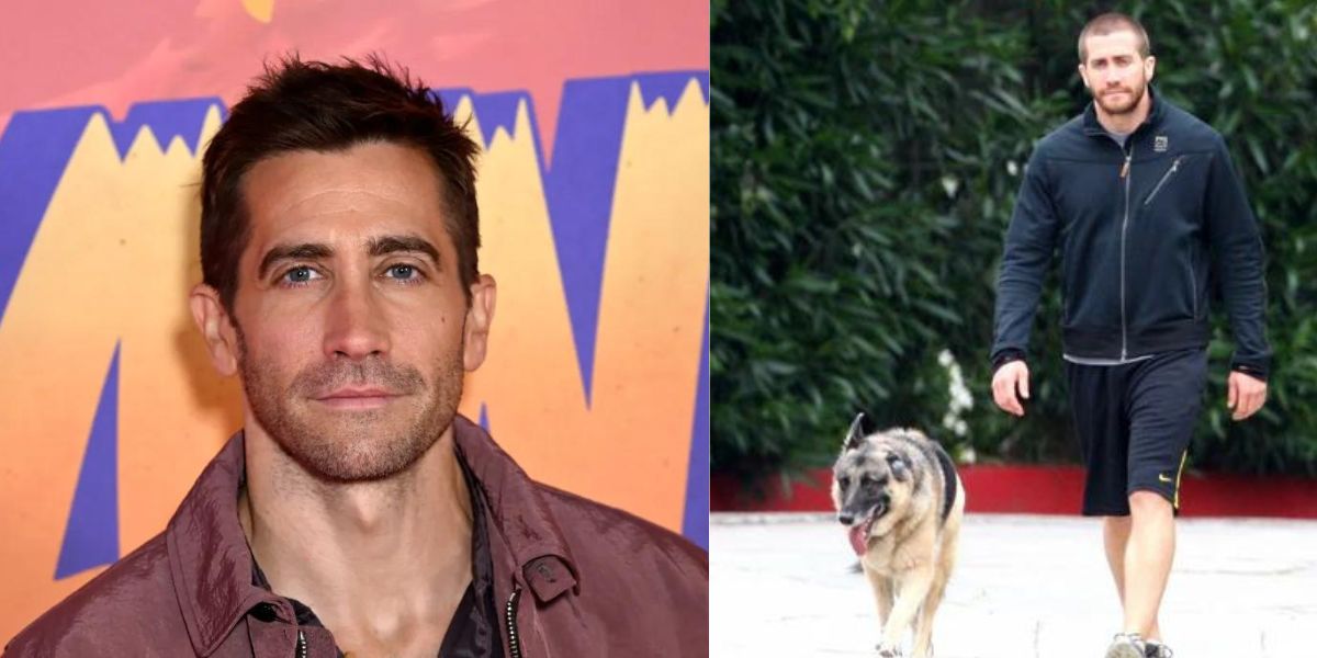 Jake Gyllenhaal