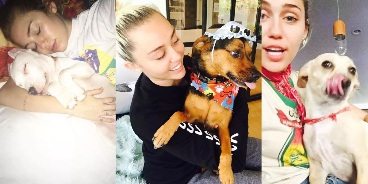 Miley Cyrus