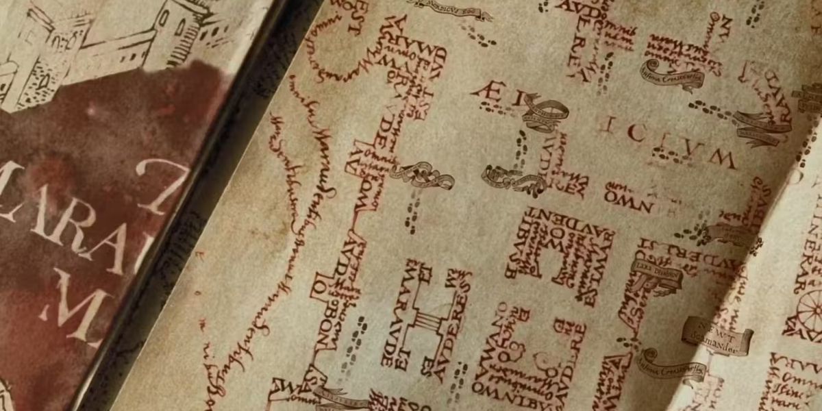 Newt Scamander Visited Hogwarts When Harry Was Studying There