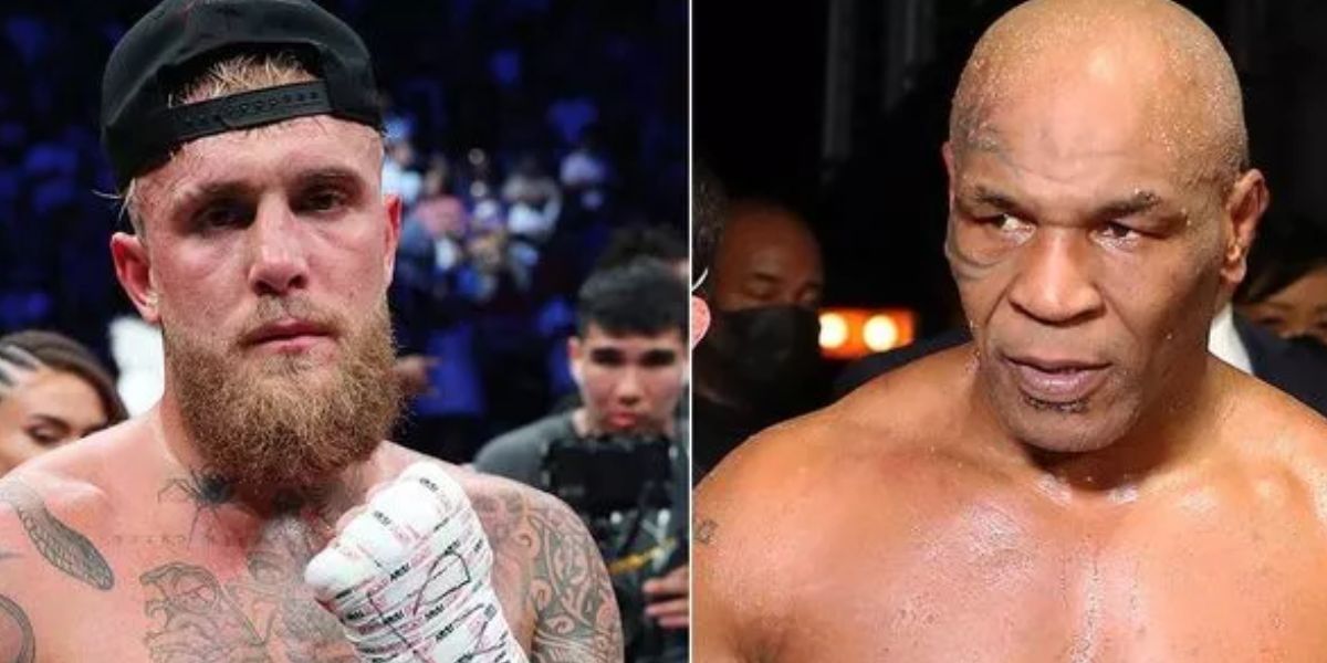 What Were The Rules And Regulations Of The Fight