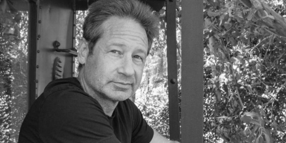 David Duchovny spoke about the possible return of the long-running UFO drama, The X-Files